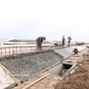 Construction d’une digue maritime dans la commune de Hai Thinh, province de Ninh Binh. Photo : VNA