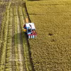 Des agriculteurs récoltent du riz dans une rizière de haute qualité et à faibles émissions de la province méridionale de An Giang. Photo: VNA