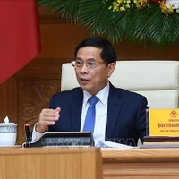 Le vice-Premier ministre Bui Thanh Son. Photo: VNA