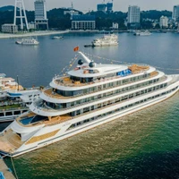 De nombreux navires de croisière de luxe sont investis par des entreprises pour accueillir les touristes visitant la baie d'Ha Long. Photo : vdstravel.com