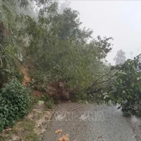 Le gouvernement vietnamien mobilisé face aux risques de catastrophes naturelles dans le Nord. Photo: VNA