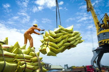 Les exportations de riz vers le Sénégal restent faibles par rapport à la demande
