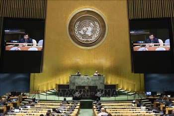 ONU : le Vietnam condamne les actes d'instabilité politique en Haïti