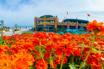 Printemps coloré au sommet de la montagne de Ba Den, dans la province de Tay Ninh