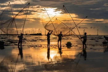 La beauté tranquille de Bac Liêu