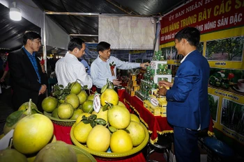 Ouverture de la Semaine des oranges de Cao Phong 2020