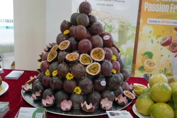 Le fruit de la passion est le cinquième fruit vietnamien à être officiellement exporté vers le marché australien. Photo: VNA