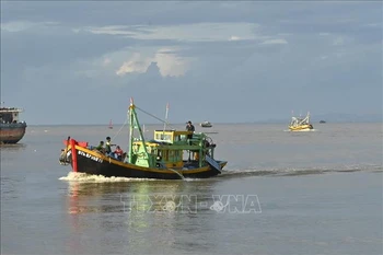 Lutte contre la pêche INN: Binh Thuan inspecte les exportations de produits aquatiques vers l'Europe