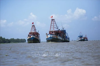 Kien Giang intensifie sa lutte contre la pêche INN