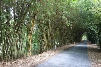 Dông Thap développe la biodiversité dans l'agriculture