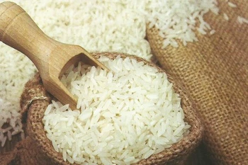 Chine, premier importateur de riz parfumé du Vietnam