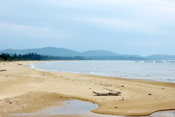 Ninh Binh : Nécessité de mieux exploiter les atouts du district de Kim Son