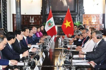 Le président Luong Cuong s'entretient avec son homologue péruvienne, Dina Ercilia Boluarte Zegarra. Photo: VNA