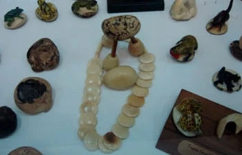 Bientôt l'exposition d’artisanat et de photos du Panama à Hanoi 