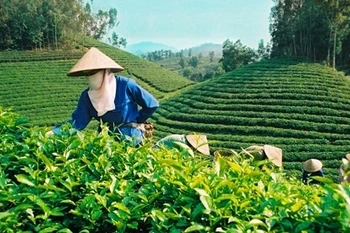 Thai Nguyên: Ouverture de la saison du tourisme 2016