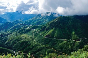 Aide américaine pour la gestion forestière et la conservation de la biodiversité à Lao Cai