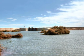 Le fleuve Ray, une nouvelle destination à ne pas rater à Dông Nai