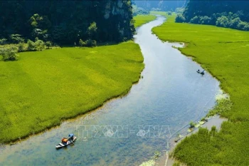 Tam Coc - Bich Dong. Photo: VNA