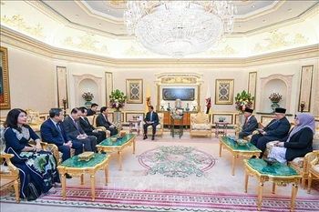 Le vice-président de l'AN Nguyen Khac Dinh rencontre le sultan et le président du Conseil législatif de Brunei
