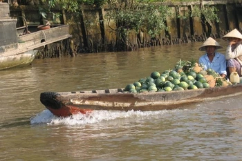 Vinh Long : le tourisme vert fait recette à l'occasion du Nouvel An