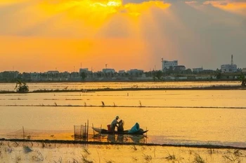 Mise en œuvre d’un projet de gestion des ressources naturelles dans le delta du Mékong 