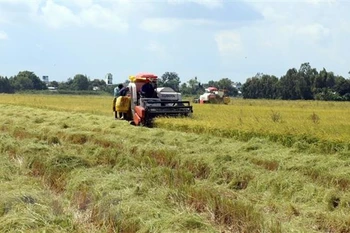 Le PM accepte la conversion des terres agricoles à Vinh Long et Kien Giang