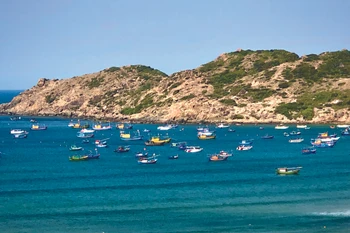 Nhon Lý, une presqu’île paradisiaque de Quy Nhon