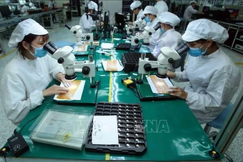 Dynamiser les exportations vers l'UE grâce à l'EVFTA