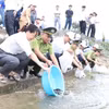 Relâcher des poissons dans le lac Con Son, situé dans le site du patrimoine mondial de Con Son-Kiet Bac. Photo : VNA