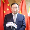 Xu Ningning, président du Comité de coopération industrielle dans le cadre du Partenariat économique régional global (RCEP). Photo : VNA