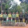 Se préparer à relâcher un groupe d'oiseaux dans leur milieu naturel. Photo : VNA