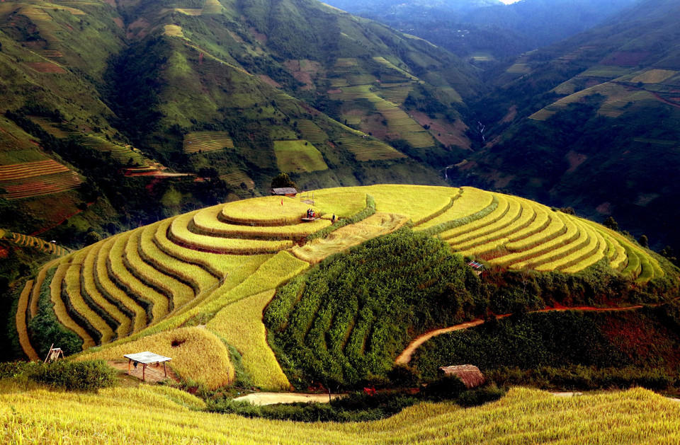 Bac Yen séduit les touristes par ses somptueux paysages, sublimés à la saison du riz mûr. Photo: VNA