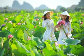 Ninh Binh, le pays des lotus en fleur, une destination incontournable