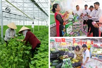 Le secteur agricole continue de se développer de manière exhaustive, la valeur de la production agricole de haute technologie représentant plus de 30% de l'ensemble du secteur de la province de Bac Ninh. Photo: qdnd.vn