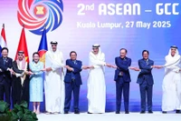 Le Premier ministre Pham Minh Chinh et les diriegants de l'ASEAN et des pays du GCC. Photo: VNA