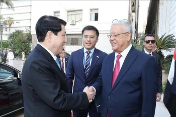 Le président Luong Cuong (gauche) et le président de la Chambre des représentants égyptienne, Hanafy El Gebaly. Photo: VNA