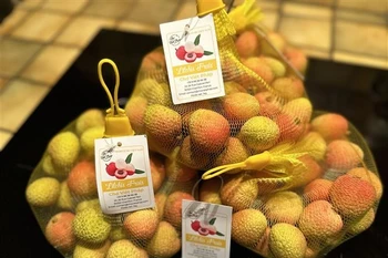 Le 2 juin, les premiers litchis frais de la saison 2025 en provenance du Vietnam sont officiellement arrivés sur le marché français. Photo: VNA