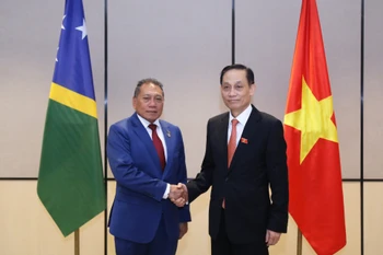 Le ministre des Affaires étrangères Le Hoai Trung (à droite) et le ministre des Affaires étrangères et du Commerce extérieur des Îles Salomon, Peter Shanel Agovaka. Photo: ministère des Affaires étrangères