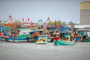 Des agents se rendent directement à bord pour expliquer en détail les réglementations relatives à la lutte contre la pêche INN. Photo: VNA