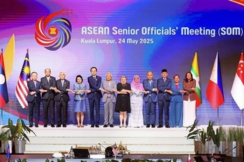Le vice-ministre des Affaires étrangères Do Hung Viet (cinquième à partir de la gauche) avant la réunion des hauts officiels de l'ASEAN (SOM). Photo: VNA