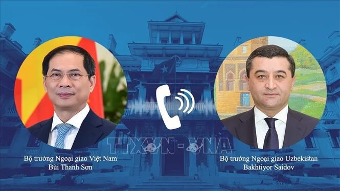 Le ministre vietnamien des Affaires étrangères, Bui Thanh Son (gauche) et son homologue ouzbek Bakhtiyor Saidov. Photo: VNA
