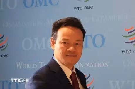 L'ambassadeur Mai Phan Dung, représentant permanent du Vietnam auprès des Nations Unies (ONU), de l'Organisation mondiale du commerce (OMC) et d'autres organisations internationales à Genève. Photo: VNA
