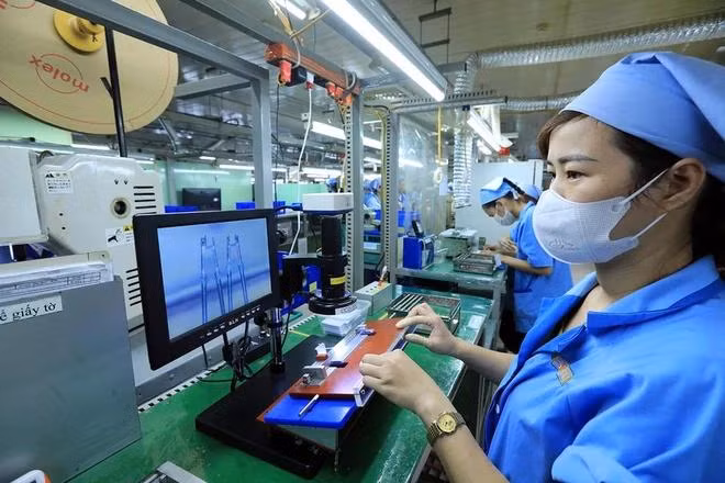 Les entreprises investissent dans la technologie pour mieux répondre aux exigences des importateurs. Photo : VietnamPlus