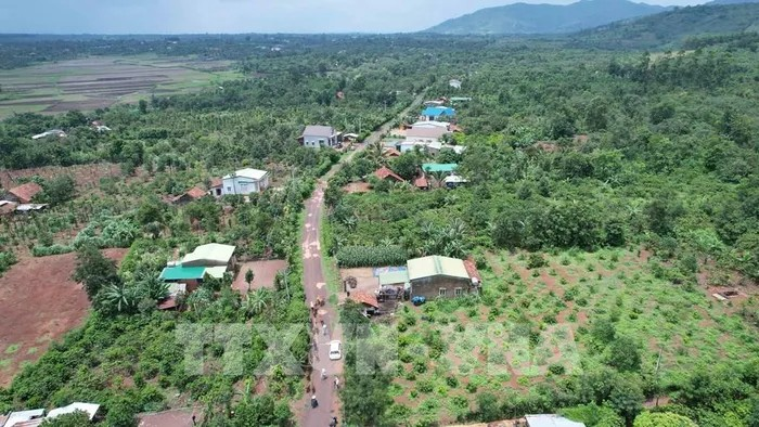 Un tronçon de l'autoroute Khanh Hoa - Buon Ma Thuot, traversant la commune d'Ea Kenh, district de Krong Pac, province de Dak Lak. Photo: VNA