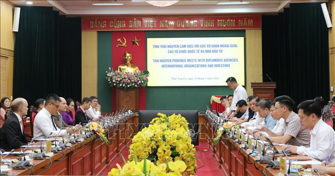 Séance de travail entre des autorités de Thai Nguyen et la délégation de l’Union européen (UE), des Pays-Bas et de l’ambassade du Vietnam à Singapour. Photo: VNA