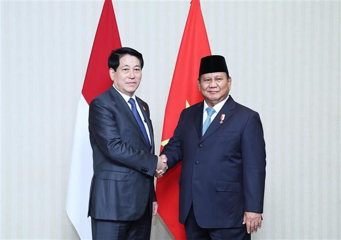 Le président Luong Cuong (gauche) et son homologue indonésien, Prabowo Subianto. Photo: VNA