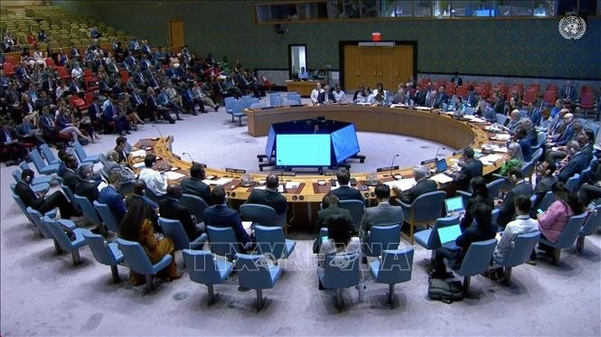 Panorama du débat. Photo: VNA
