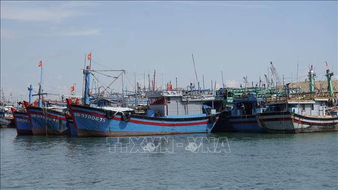Des bateaux de pêche sont ancrés au port de pêche du quartier de Quy Nhon, province de Gia Lai. Photo: VNA