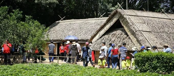 De nombreuses personnes se rendent au village de Sen à l’occasion du 135e anniversaire de la naissance de l'Oncle Hô. Photo : sggp.org.vn