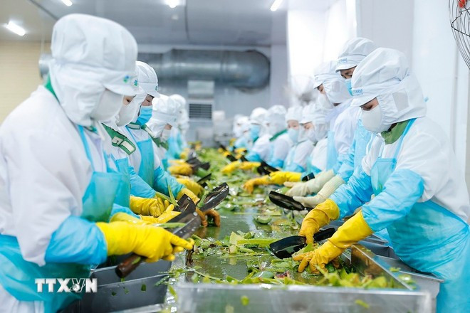 L’Azerbaïdjan s’intéresse particulièrement à l’industrie de transformation agricole du Vietnam. Photo: VNA